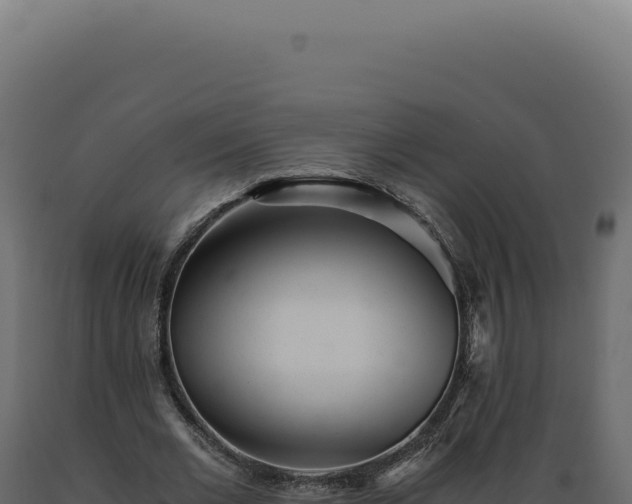 X0000089970677200707061201