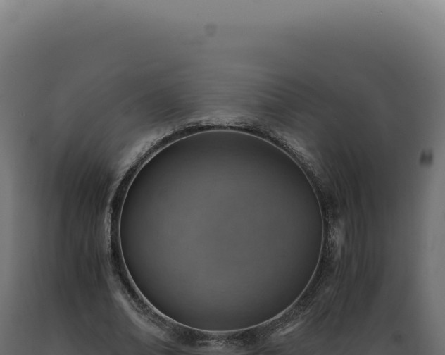 X0000089970678200707061201