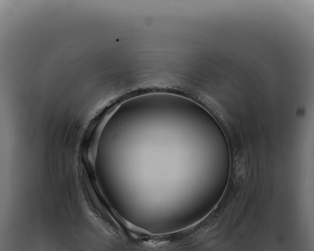X0000089970680200707061201