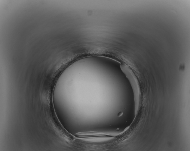 X0000089970681200707061201