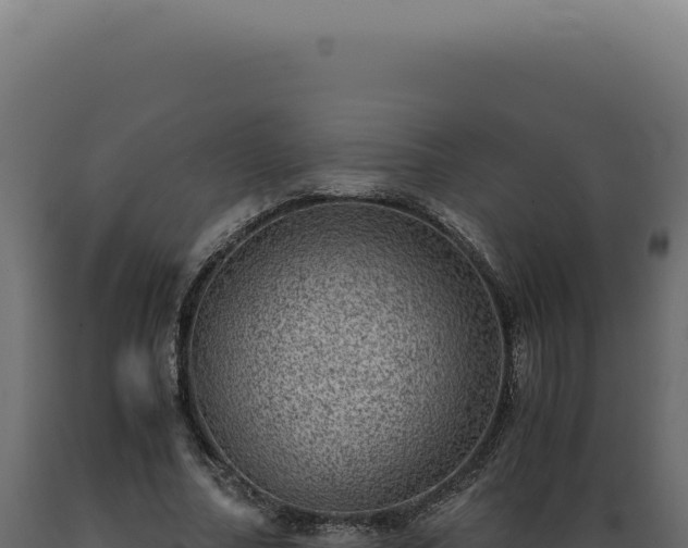 X0000089970682200707061201