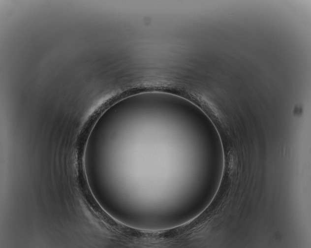 X0000089970684200707061201