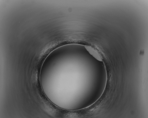X0000089970685200707061201