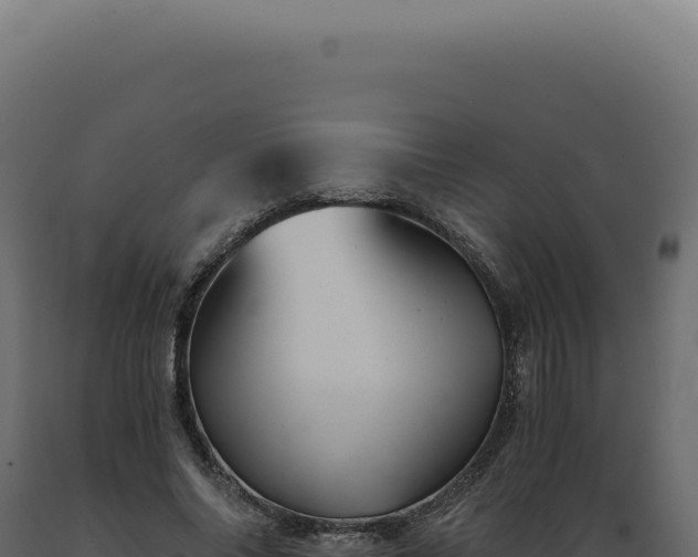 X0000089970686200707061201