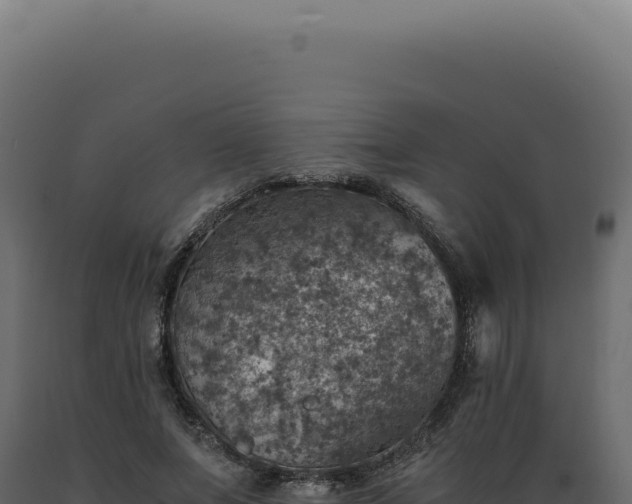 X0000089970687200707061201