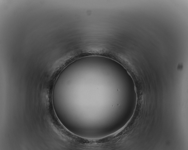 X0000089970688200707061201