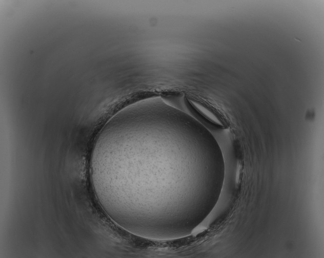 X0000089970689200707061201