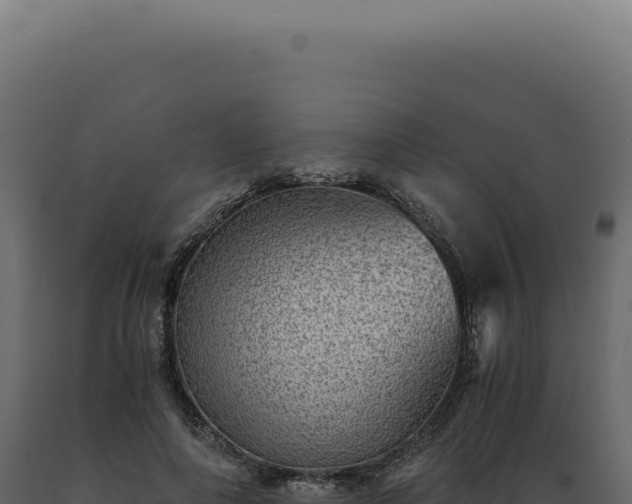 X0000089970690200707061201