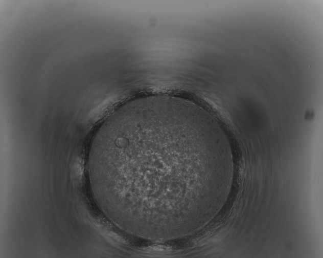 X0000089970691200707061201
