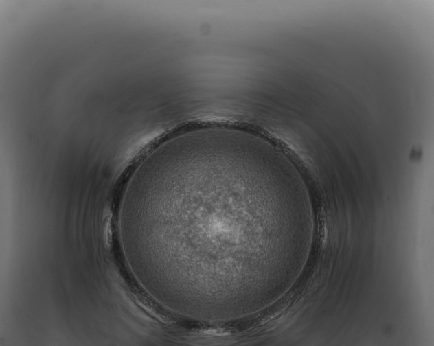 X0000089970692200707061201