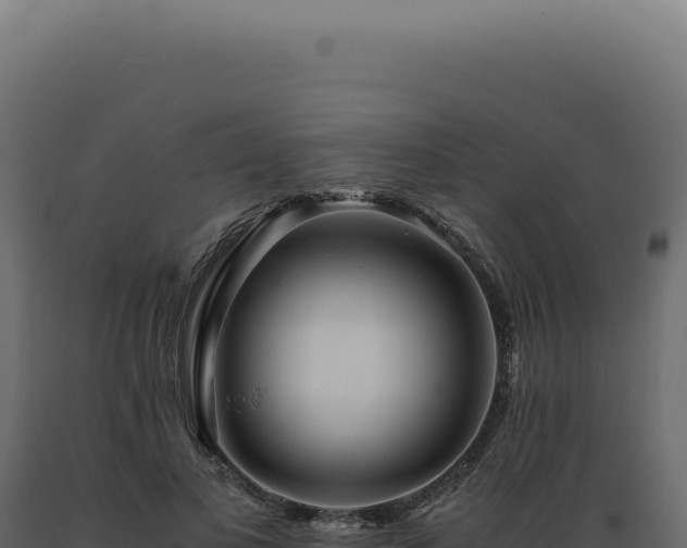 X0000089970693200707061201