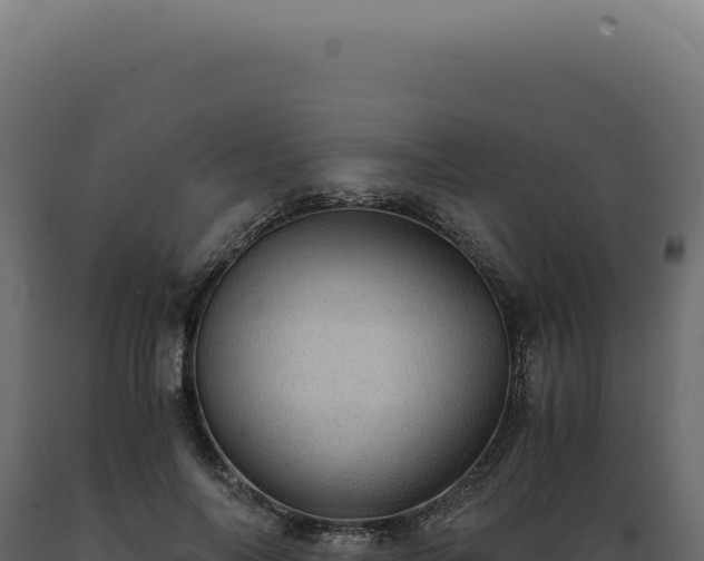 X0000089970694200707061201
