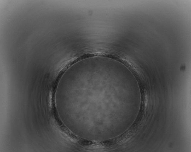 X0000089970696200707061201