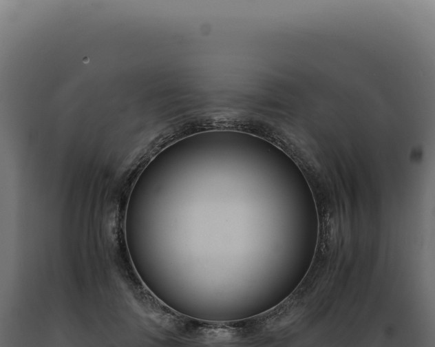 X0000089970698200707061201