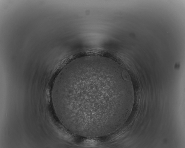 X0000089970699200707061201