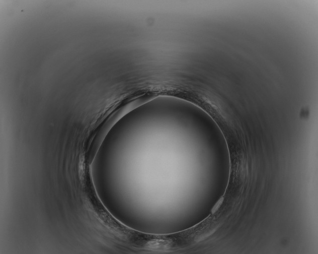 X0000089970700200707061201