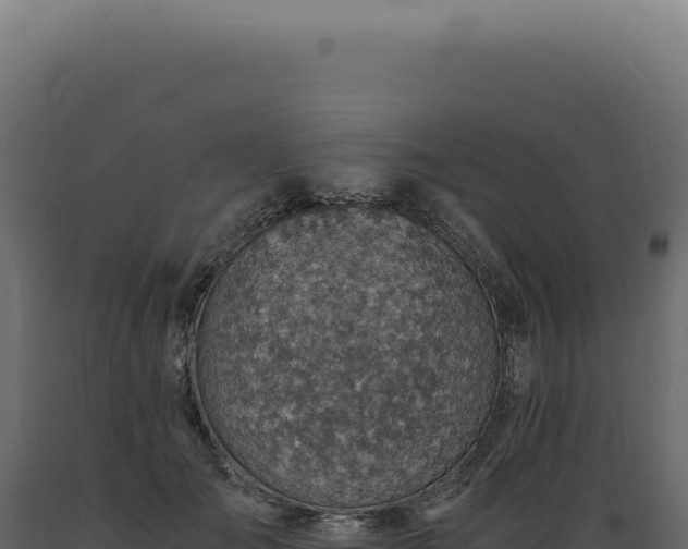 X0000089970701200707061201