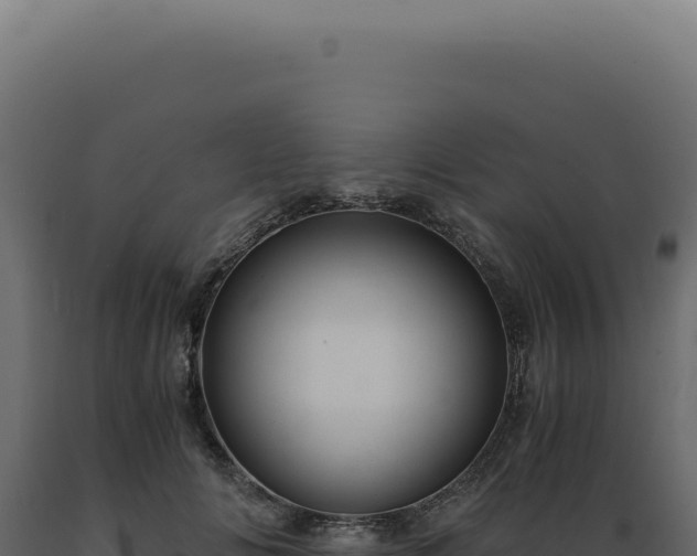 X0000089970702200707061201