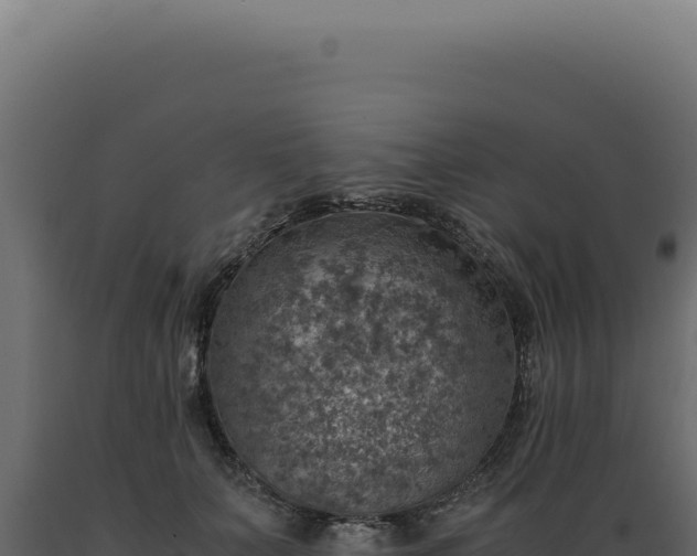 X0000089970703200707061201