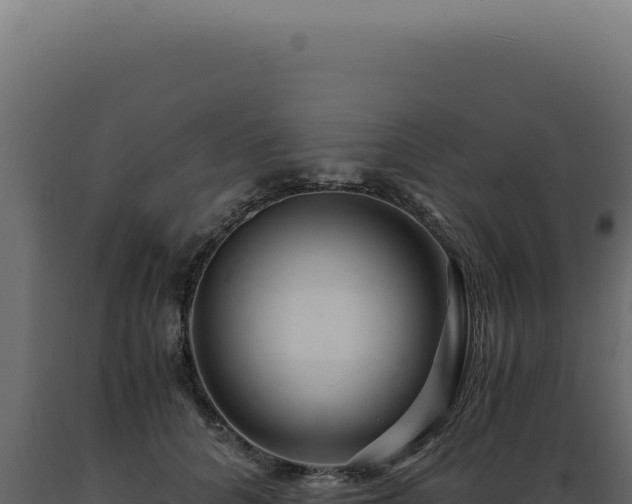 X0000089970704200707061201