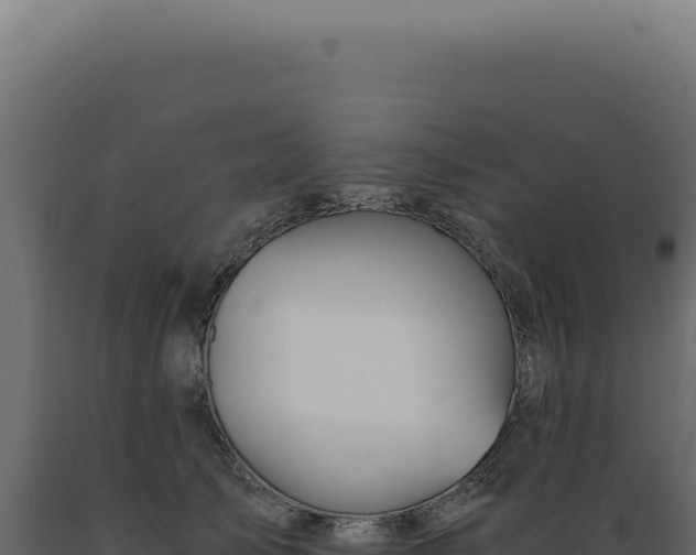 X0000089970705200707061201