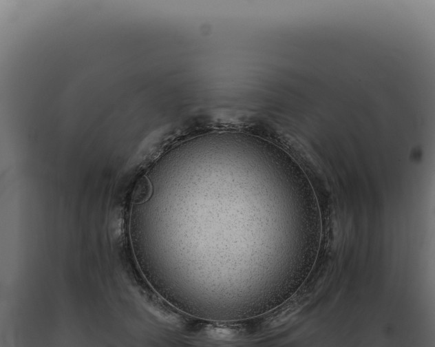 X0000089970706200707061201