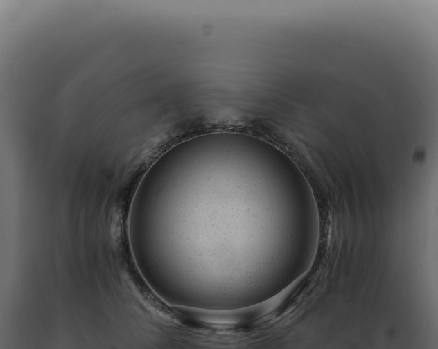 X0000089970708200707061201