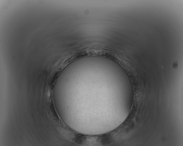 X0000089970709200707061201