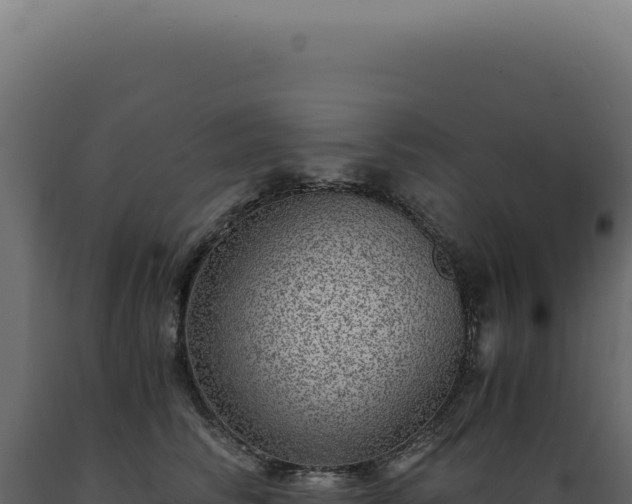 X0000089970710200707061201