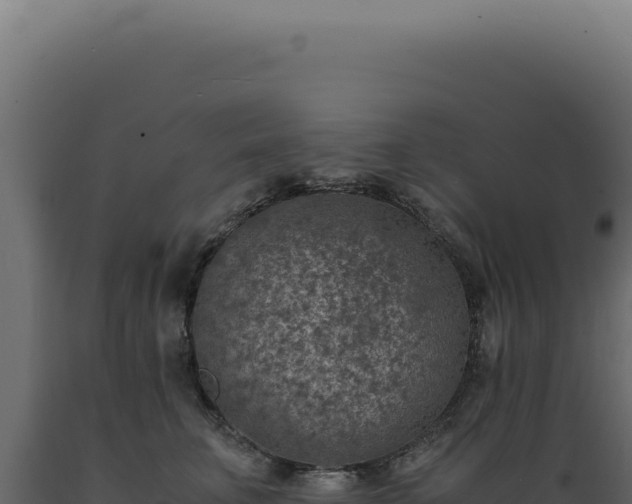X0000089970711200707061201