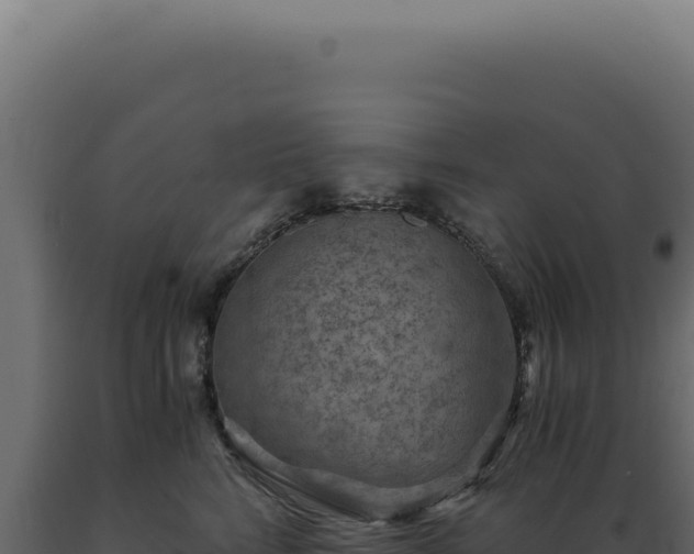 X0000089970712200707061201