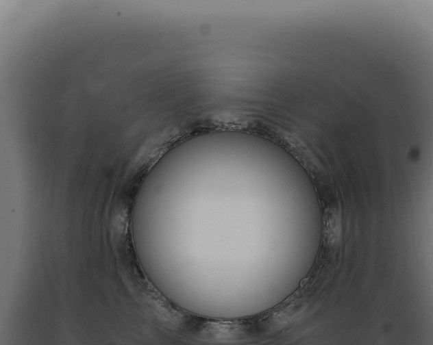 X0000089970713200707061201