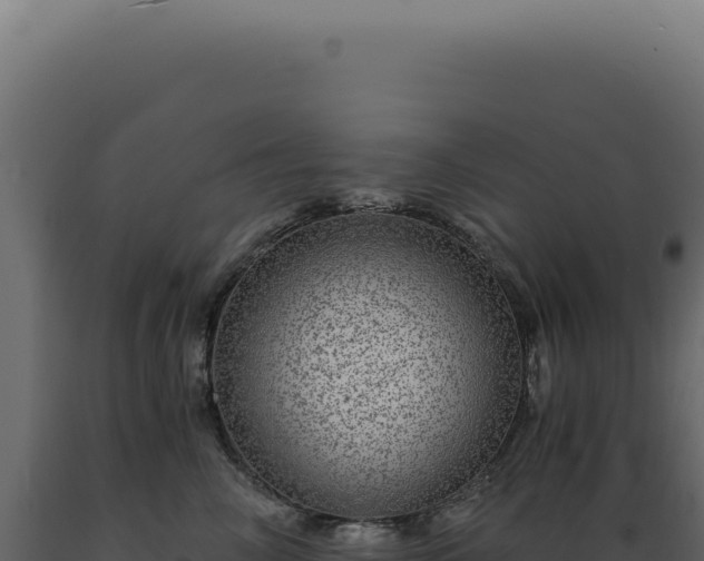 X0000089970714200707061201