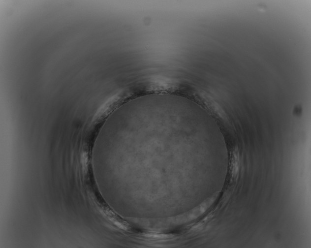 X0000089970716200707061201
