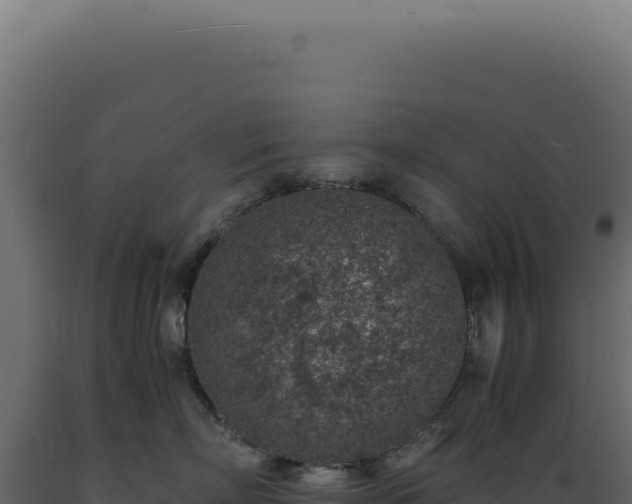 X0000089970718200707061201