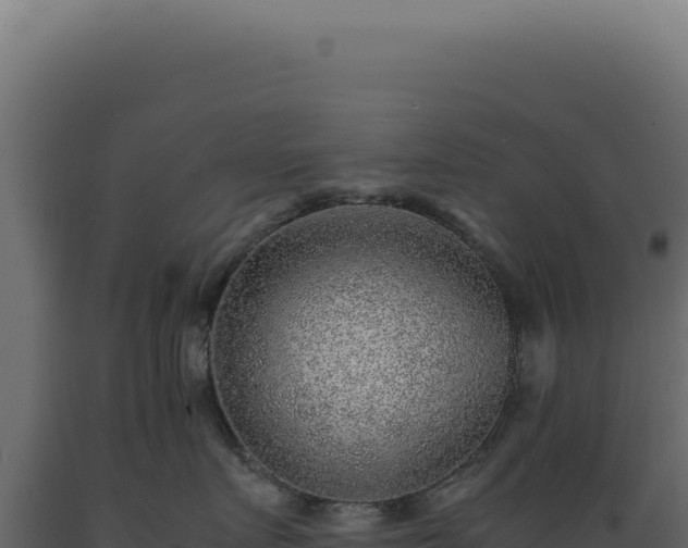 X0000089970719200707061201