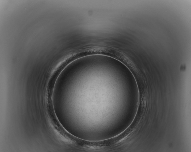 X0000089970722200707061200