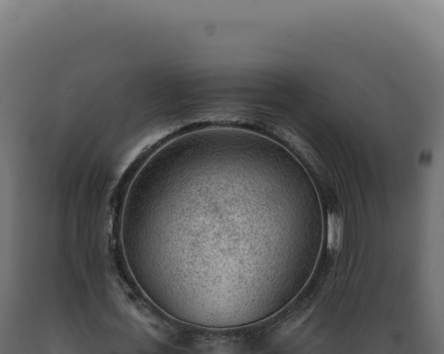 X0000089970723200707061200