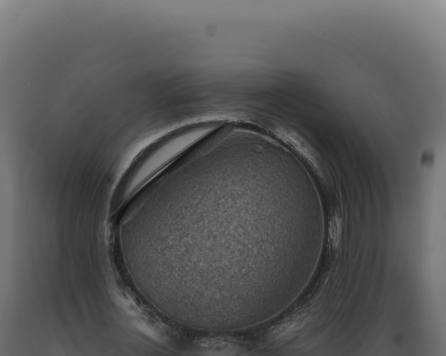X0000089970724200707061200
