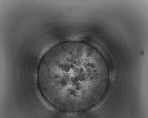 X0000089970725200707061200