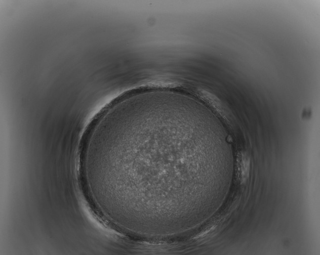 X0000089970726200707061200