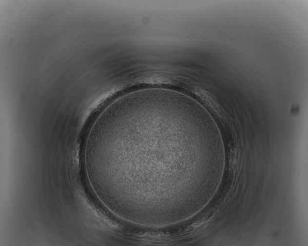 X0000089970727200707061200