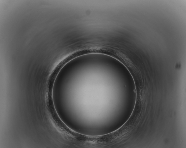 X0000089970728200707061200