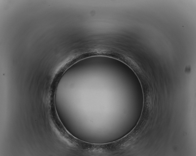 X0000089970730200707061200