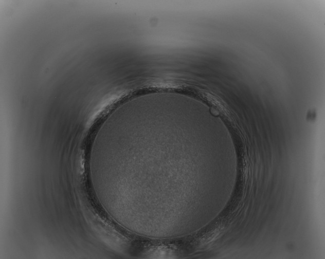 X0000089970731200707061200