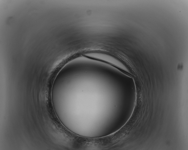 X0000089970732200707061200