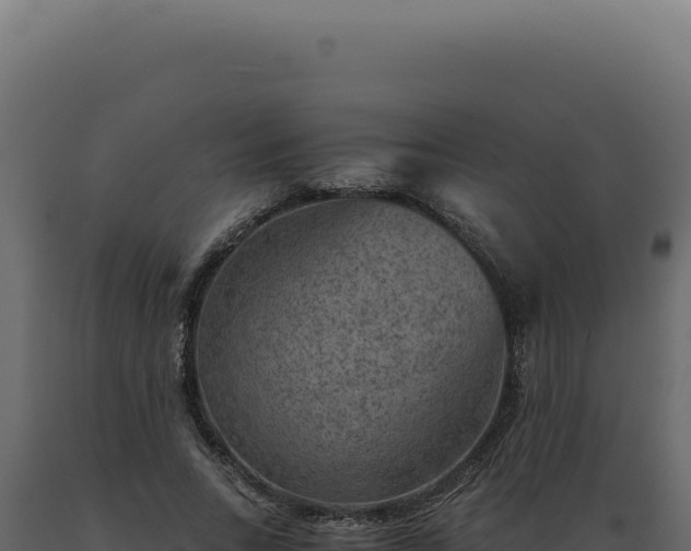 X0000089970735200707061200