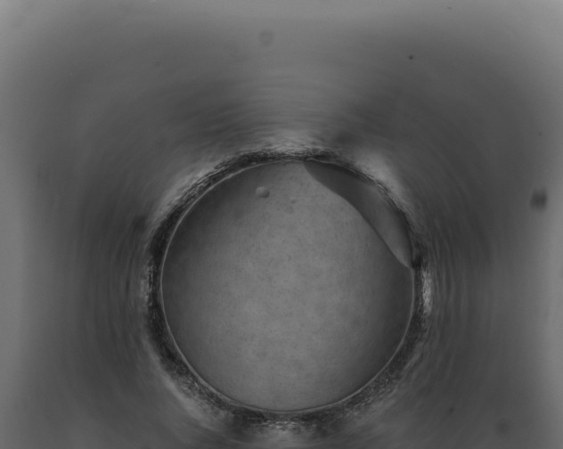X0000089970736200707061200