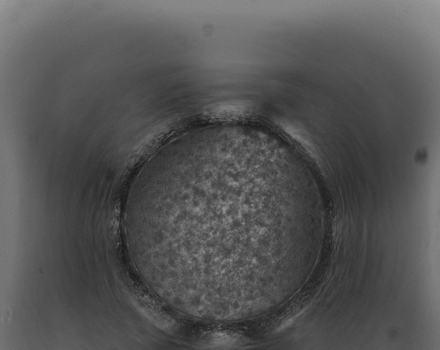 X0000089970737200707061200