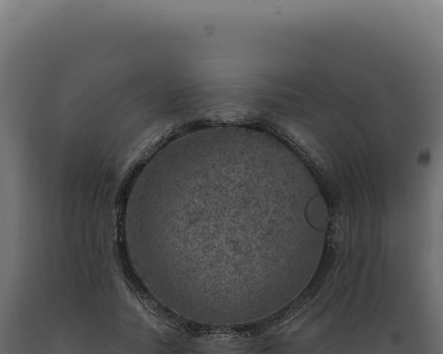 X0000089970738200707061200